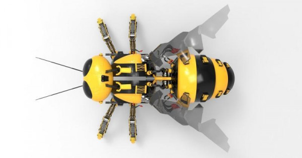 과학자들은 컴퓨터 모델이 꿀벌 뇌의 물리적 구조가 유사하다는 사실을 발견했다. [셔터스톡]