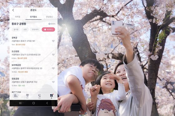 SKT는 25일부터 AI 개인비서 ‘에이닷’에 벚꽃 명소 혼잡도 정보를 추가해 공개한다고 밝혔다.(SK텔레콤 제공)